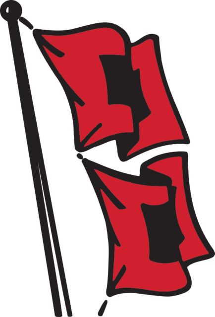 Tulsa Large Decal Flag Logo - ONLINE ONLY