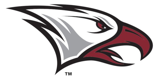 North Carolina Central Medium Decal NCCU Eagle Head - ONLINE ONLY