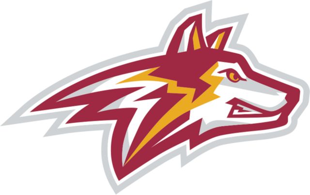 Alvernia Large Decal Golden Wolf Head - ONLINE ONLY