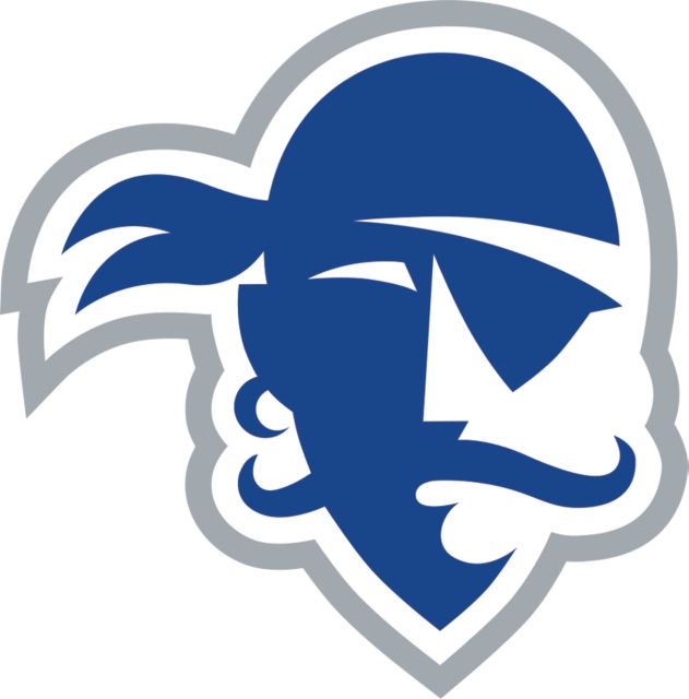 Seton Hall Large Decal Primary Athletics Logo - ONLINE ONLY