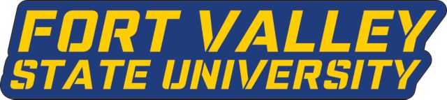 Fort Valley State Extra Large Decal Wordmark - ONLINE ONLY