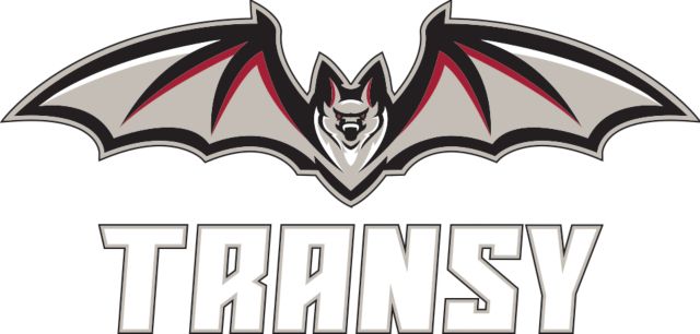 Transylvania Extra Large Decal Primary Athletics Mark - ONLINE ONLY