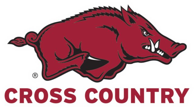 Arkansas Medium Decal Arkansas - Cross Country