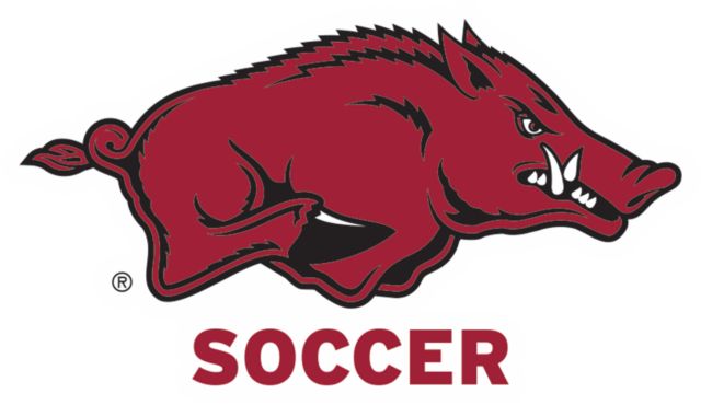 Arkansas Medium Decal Arkansas - Soccer