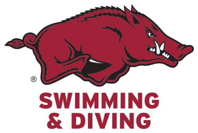 Arkansas Medium Decal Arkansas - Swimming and Diving