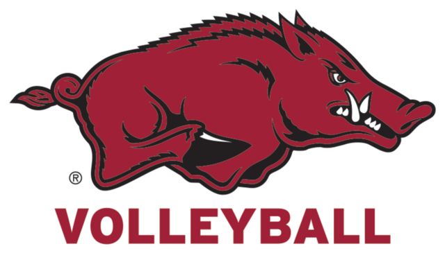 Arkansas Medium Decal Arkansas - Volleyball