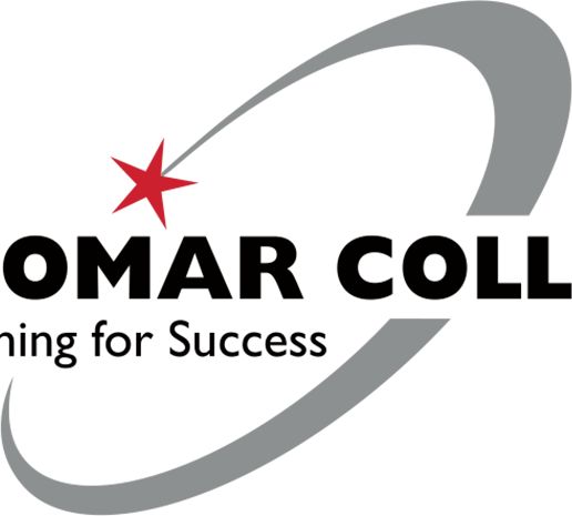 Palomar Medium Decal Palomar College Learning for Success - ONLINE ONLY
