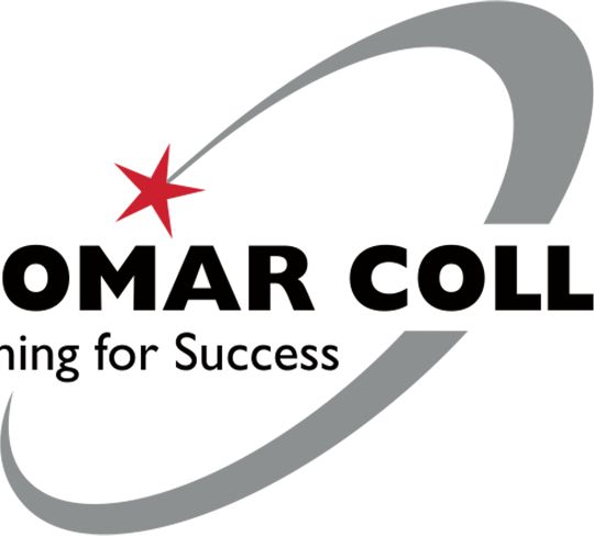 Palomar Large Decal Palomar College Learning for Success - ONLINE ONLY
