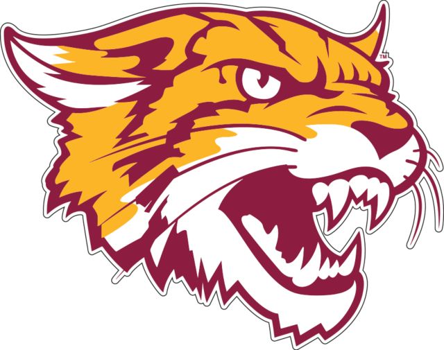 Bethune Cookman Large Decal Wildcat Head - ONLINE ONLY