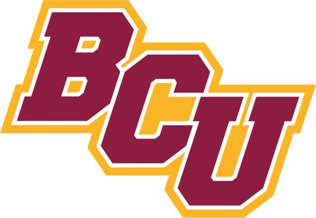 Bethune Cookman Extra Large Decal BCU - ONLINE ONLY