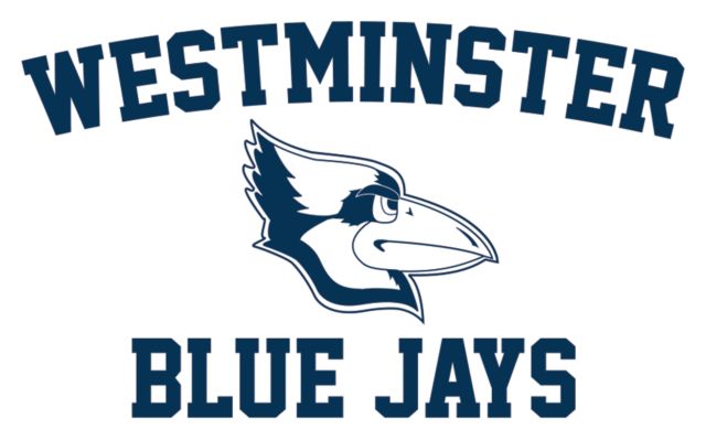Westminster Medium Decal Westminster College Jays - ONLINE ONLY
