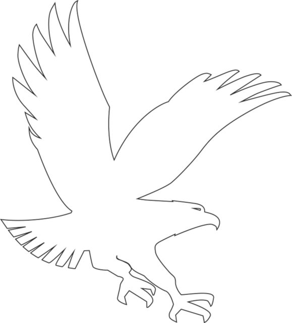 Embry Riddle Worldwide Medium Decal ERAU Eagle - ONLINE ONLY