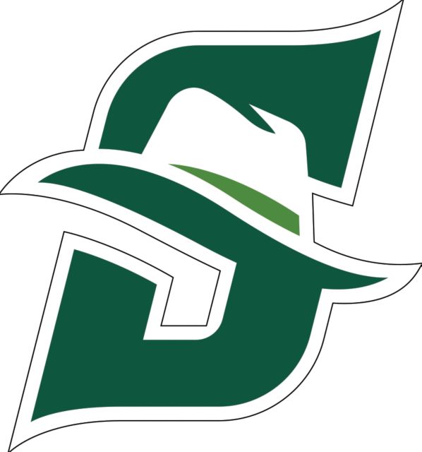 Stetson Medium Decal Primary logo - ONLINE ONLY