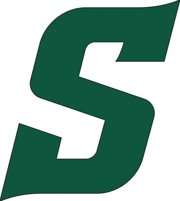 Stetson Large Decal Secondary Logo - ONLINE ONLY