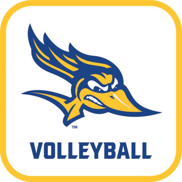 Cal State Bakersfield Medium Decal Volleyball - ONLINE ONLY