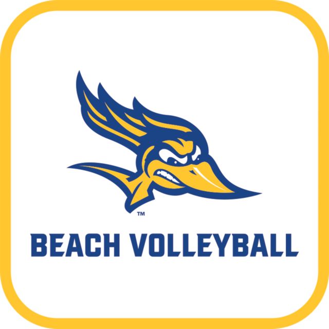 Cal State Bakersfield Medium Decal Beach Volleyball - ONLINE ONLY