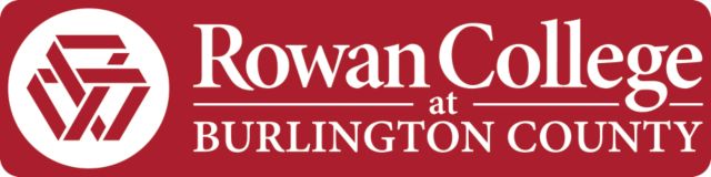 RCBC Medium Decal RCBC Official Logo - ONLINE ONLY