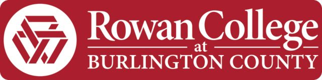 RCBC Large Decal RCBC Official Logo - ONLINE ONLY