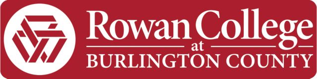 RCBC Extra Large Decal RCBC Official Logo - ONLINE ONLY