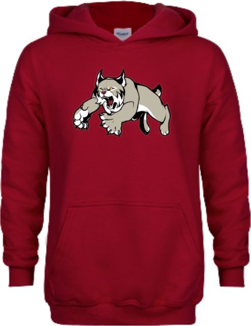 NHTI Concord Youth Cardinal Fleece Hoodie NHTI Mascot - ONLINE ONLY