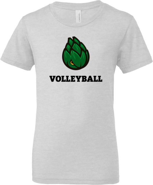 Scottsdale Bella + Canvas Youth Ash Jersey T Shirt Volleyball - ONLINE ONLY