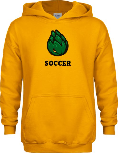 Scottsdale Youth Fleece Hoodie Soccer - ONLINE ONLY