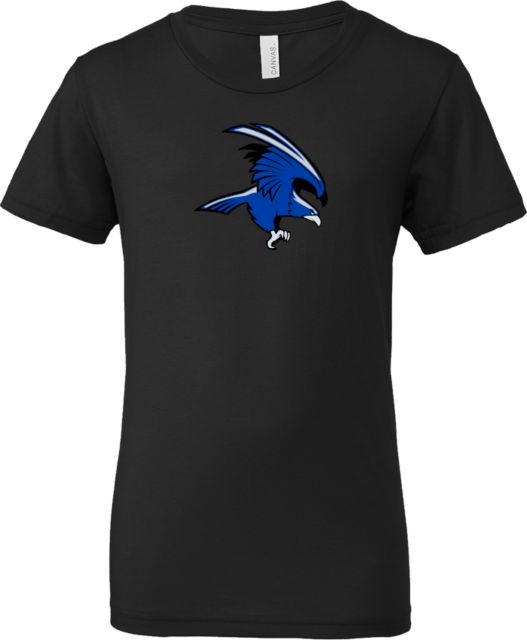 Solano Bella + Canvas Youth Jersey T Shirt Solano Community College Falcon - ONLINE ONLY