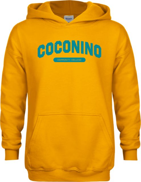 Conconino Youth Fleece Hoodie Coconino Community College - Arched Wordmark - ONLINE ONLY