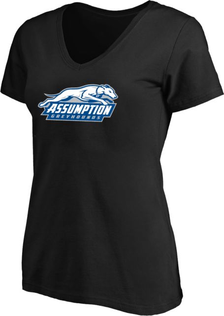 Assumption Womens Plus V Neck T Shirt Assumption University Greyhound Logo - ONLINE ONLY