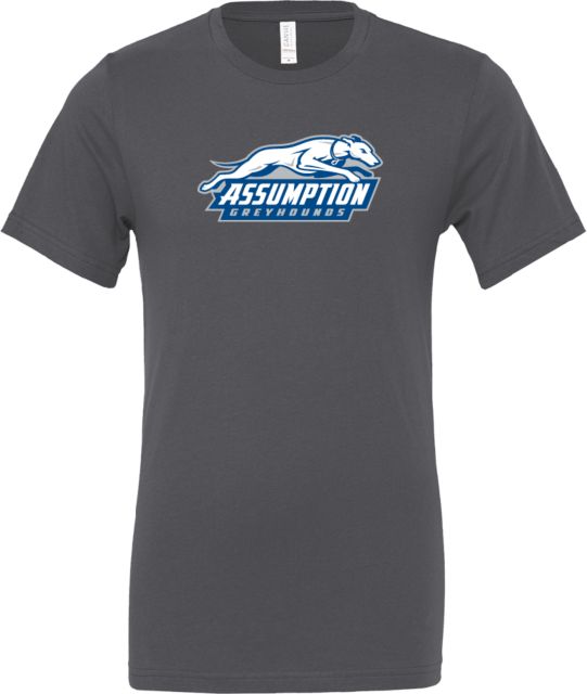 Assumption Bella + Canvas Asphalt Jersey Cotton T Shirt Assumption University Greyhound Logo - ONLINE ONLY