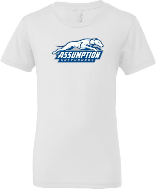 Assumption Bella + Canvas Youth Jersey T Shirt Assumption University Greyhound Logo - ONLINE ONLY