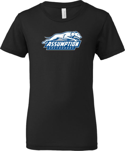 Assumption Bella + Canvas Youth Jersey T Shirt Assumption University Greyhound Logo - ONLINE ONLY