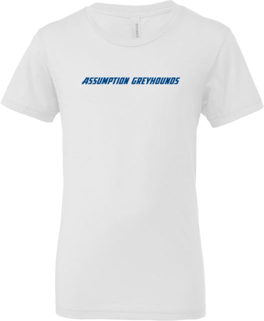 Assumption Bella + Canvas Youth Jersey T Shirt Assumption University Greyhounds Flat Wordmark - ONLINE ONLY