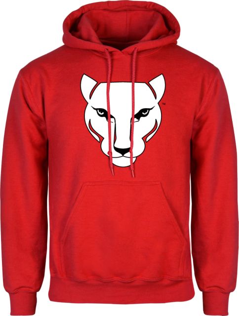 CCAC  Fleece Hoodie Wild Cat Head - ONLINE ONLY