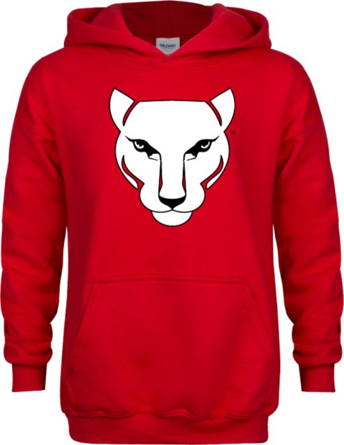 CCAC Youth  Fleece Hoodie Wild Cat Head - ONLINE ONLY