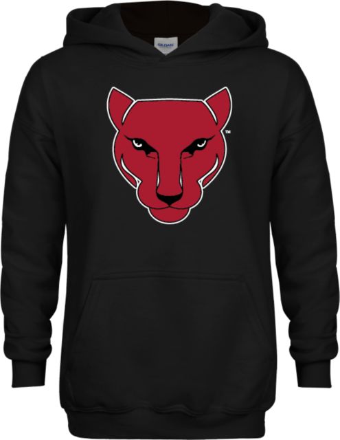 CCAC Youth Fleece Hoodie Wild Cat Head - ONLINE ONLY
