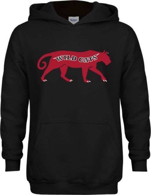 CCAC Youth Fleece Hoodie Wild Cat Body - ONLINE ONLY