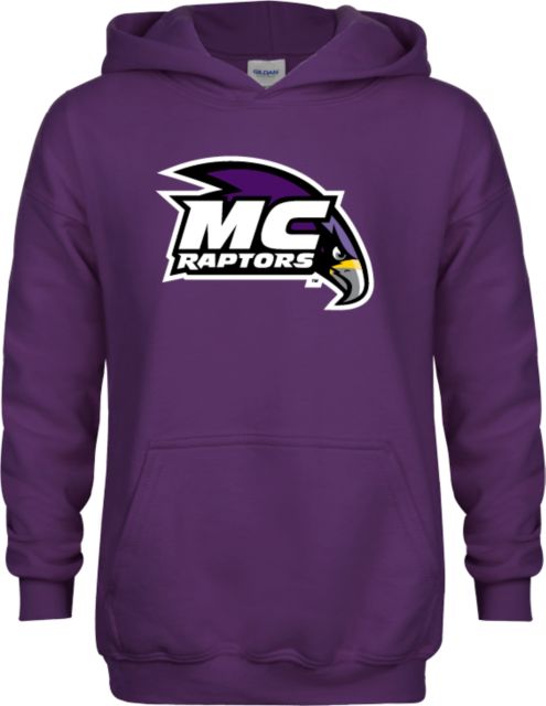 raptors youth hoodie