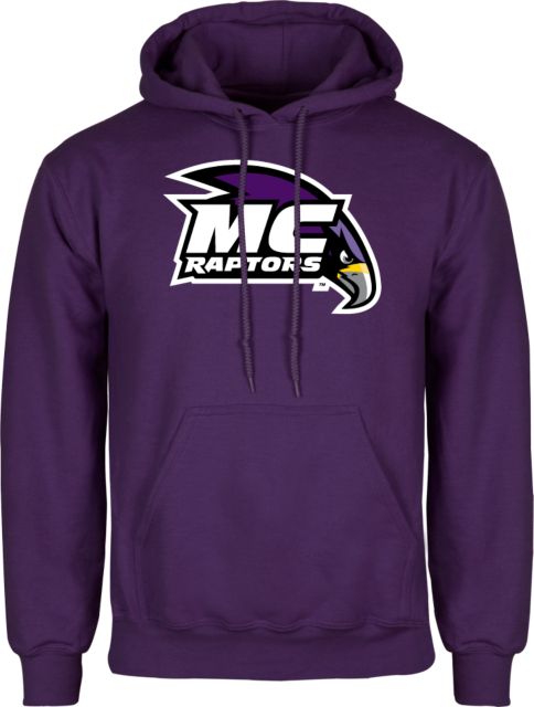 Raptors best sale purple hoodie