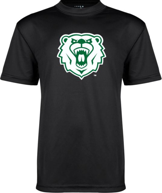 Wisconsin Parkside Youth Perfo