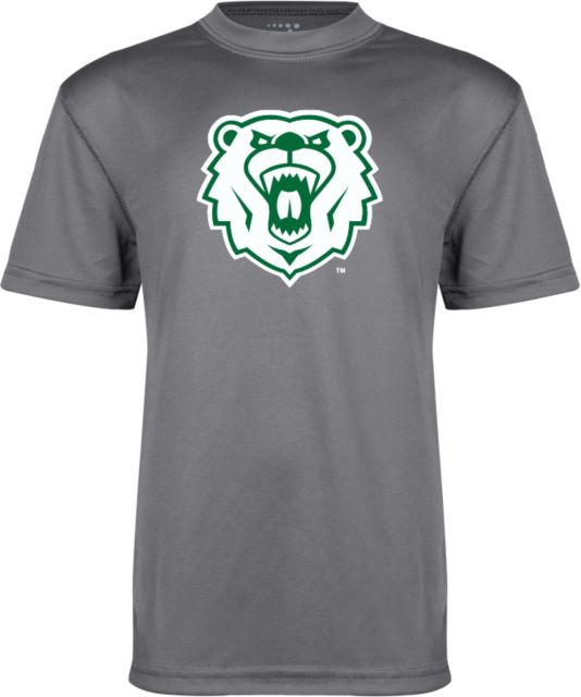 Wisconsin Parkside Youth Perfo