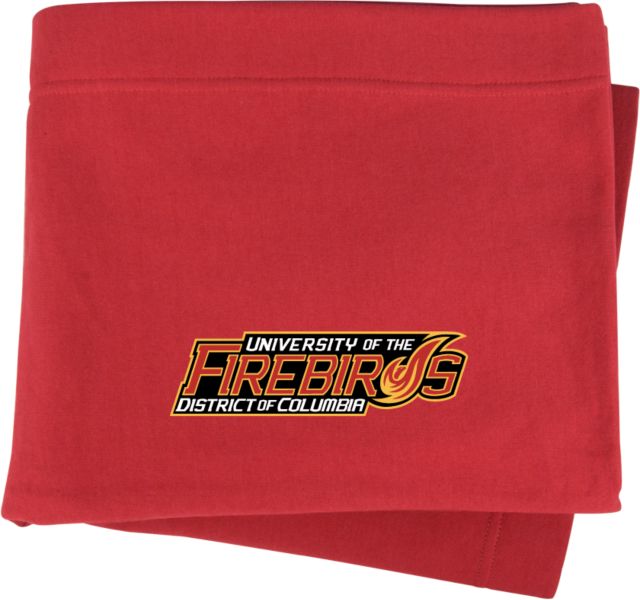 District of Columbia Sweatshirt Blanket Primary Mark - ONLINE ONLY