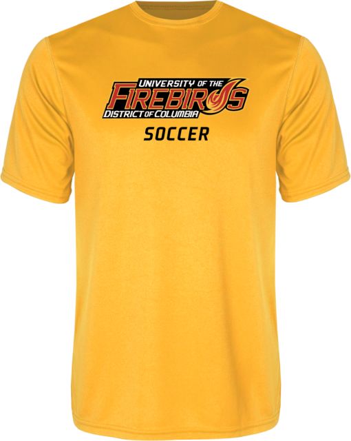 District of Columbia Performance Tee Soccer - ONLINE ONLY