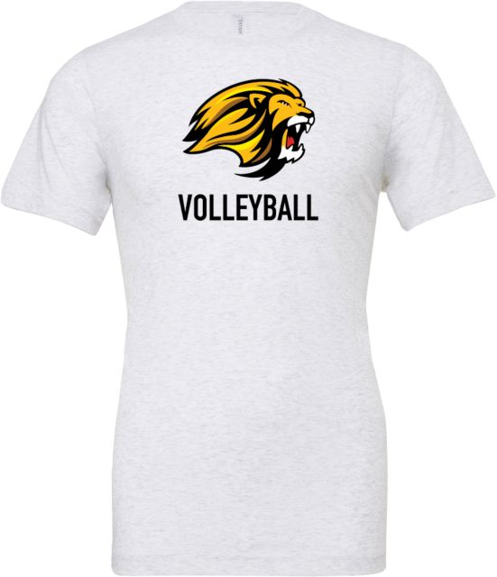 CC of Philadelphia Bella + Canvas Ash Jersey Cotton T Shirt CCP Volleyball - ONLINE ONLY