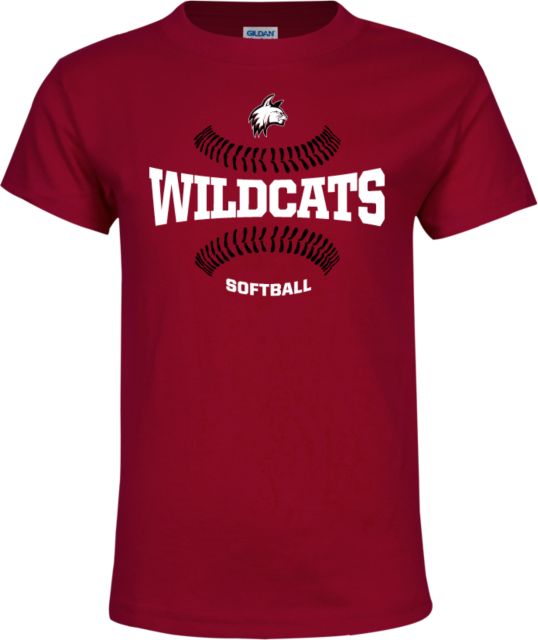 Bay Path Youth T Shirt Softball Seams - ONLINE ONLY