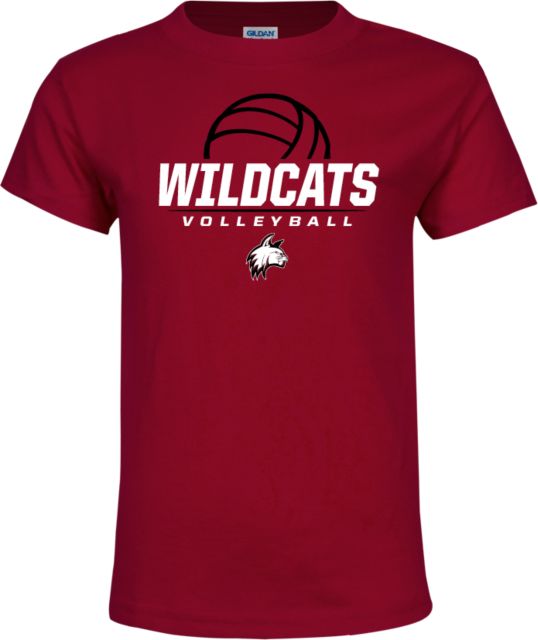 Bay Path Youth T Shirt Volleyball Ball - ONLINE ONLY