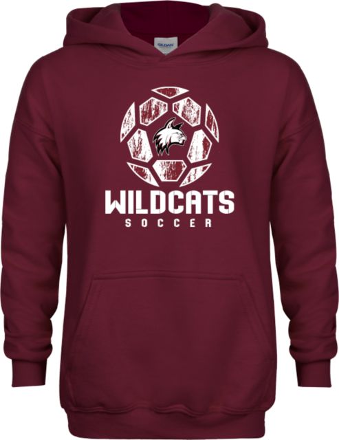 Bay Path Youth Fleece Hoodie Distressed Soccer Ball - ONLINE ONLY