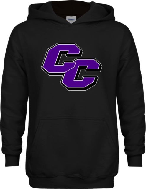 Curry College Youth Fleece Hoodie Curry College Primary Athletic Mark - ONLINE ONLY