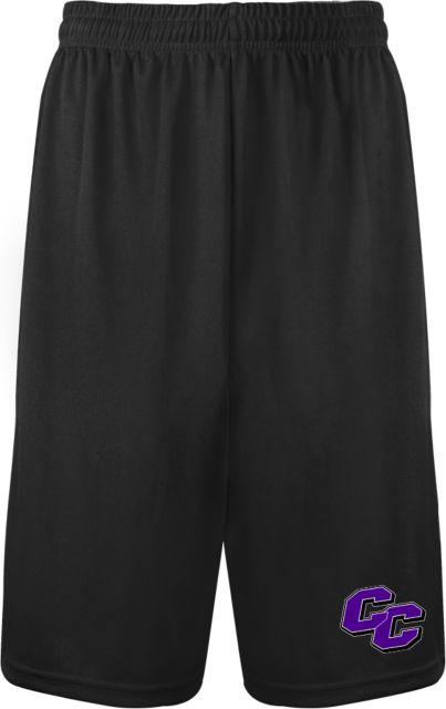 Curry College Performance Classic 9 Inch Short Curry College Primary Athletic Mark - ONLINE ONLY