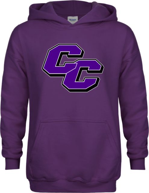 Curry College Youth Fleece Hoodie Curry College Primary Athletic Mark - ONLINE ONLY